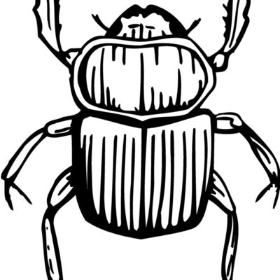 JUNEBUG Thumbnail